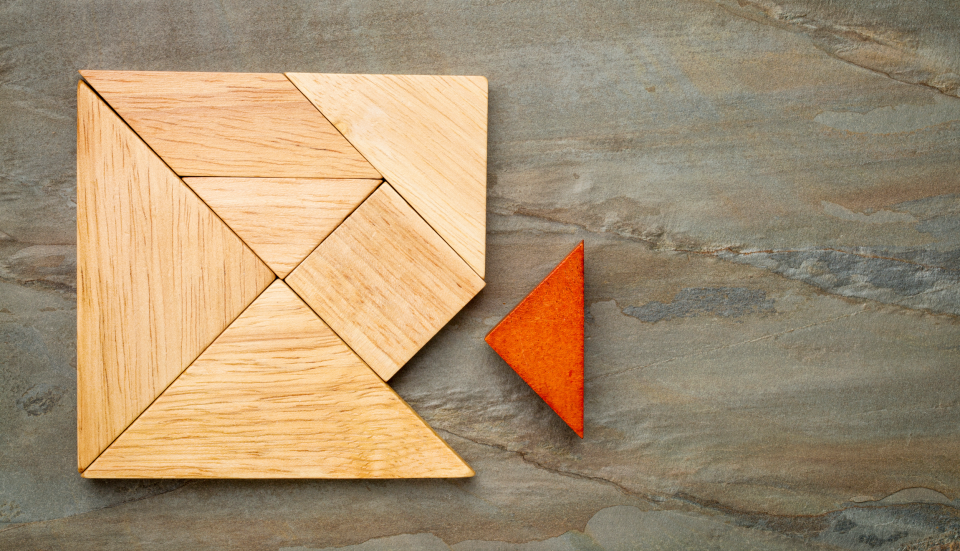 Cyber Security Skills Gap